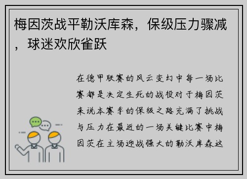 梅因茨战平勒沃库森，保级压力骤减，球迷欢欣雀跃